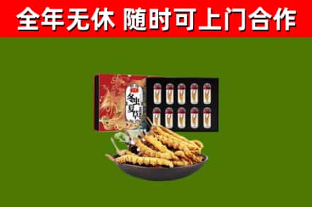 贵州省回收冬虫夏草价格